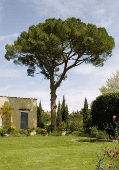 Villa Malavolta Scandicci Exteriér fotografie